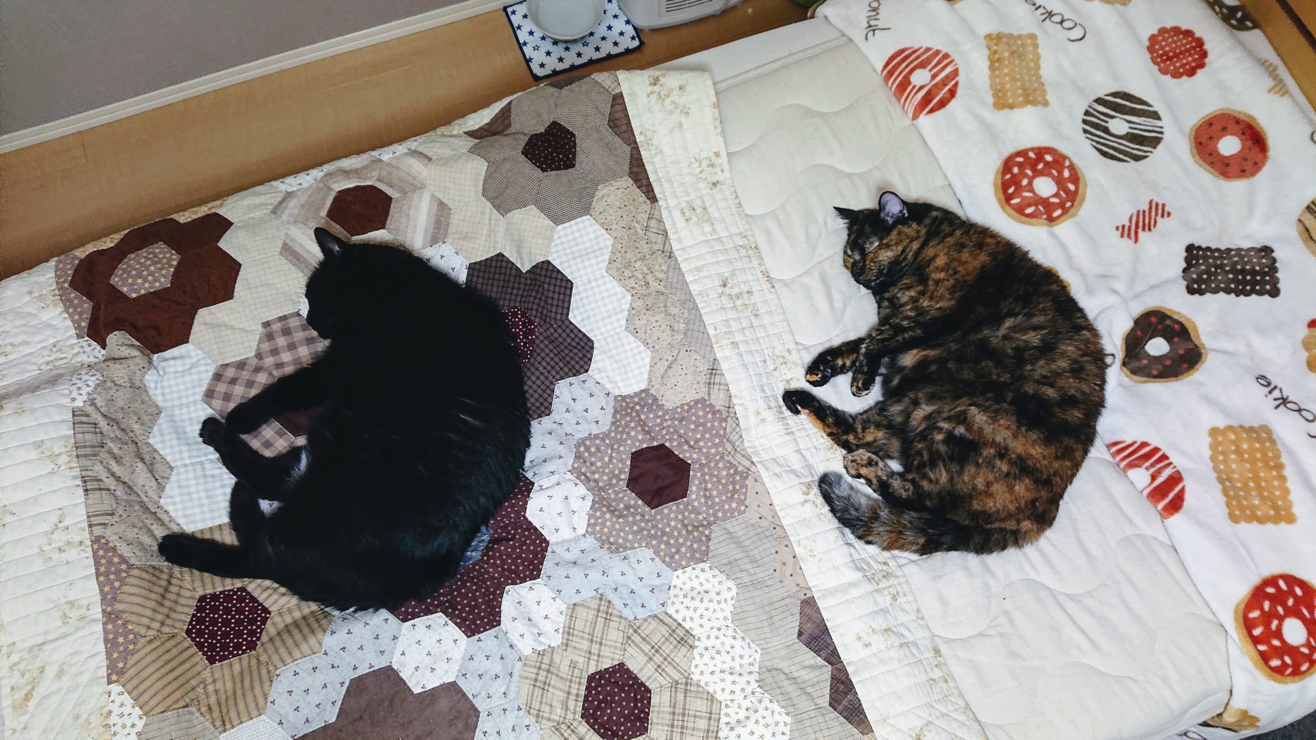 ベッドで寝る猫2匹びびとぷりん