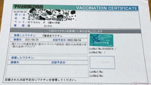 猫ワクチンの証明書